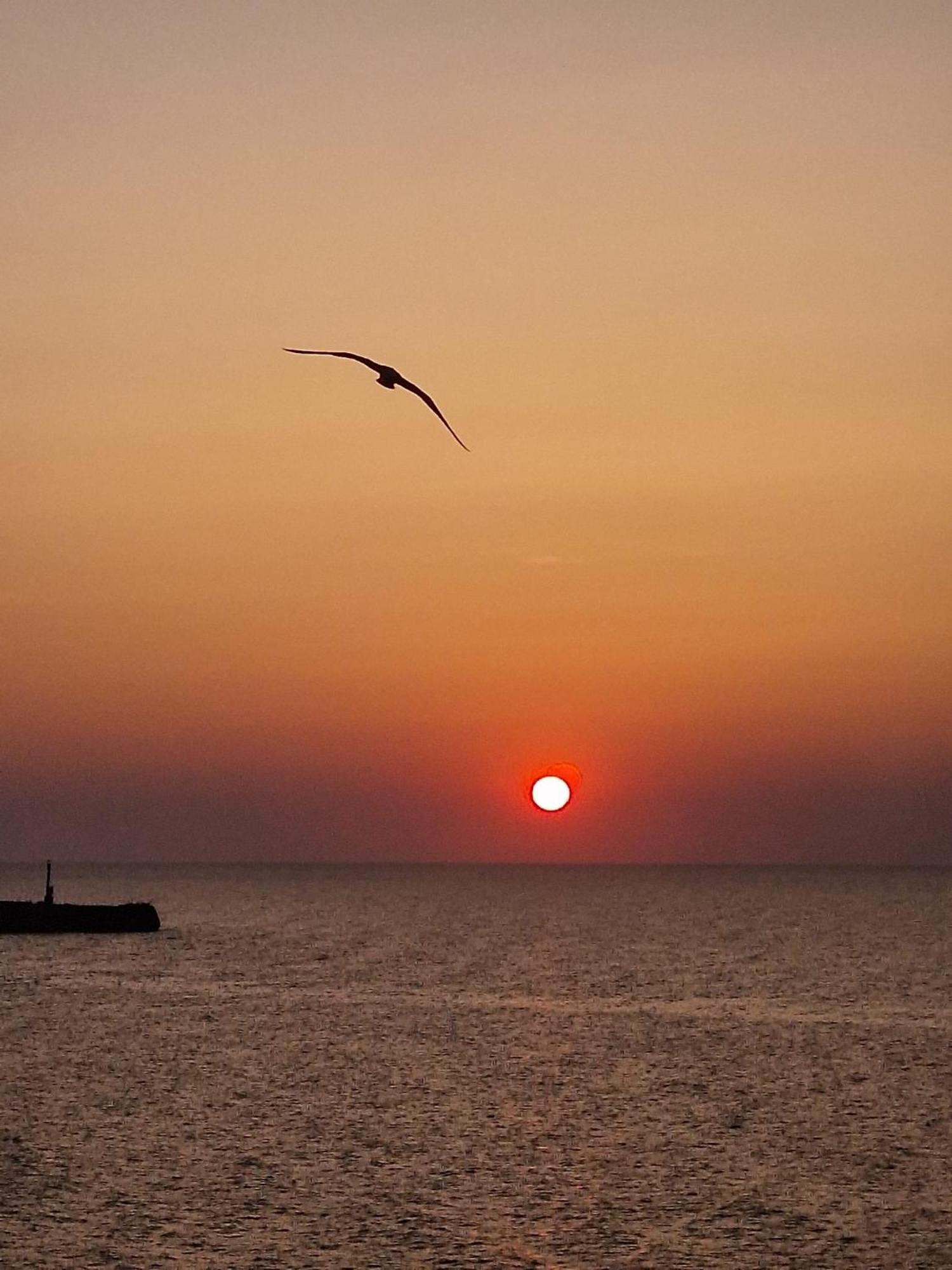 Vila Julia Costinesti Bagian luar foto