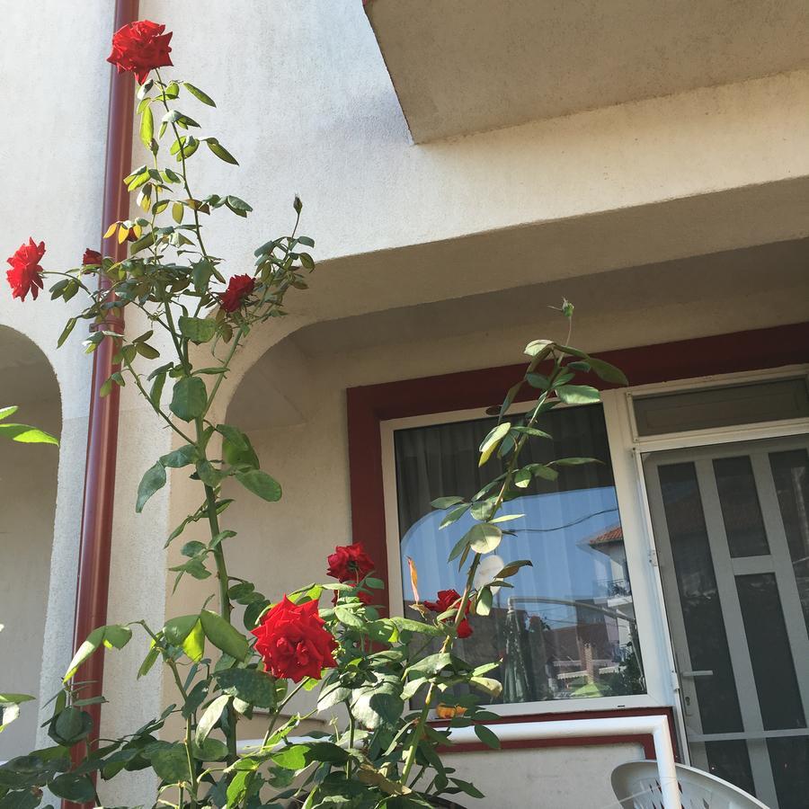 Vila Julia Costinesti Bagian luar foto